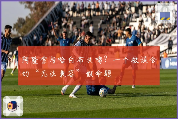 阿隆索与哈白布共鸣？一个被误会的“无法兼容”假命题