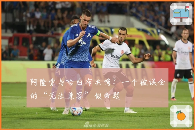 阿隆索与哈白布共鸣？一个被误会的“无法兼容”假命题