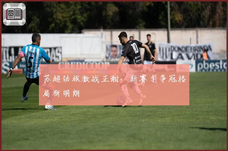 苏超劲旅激战正酣，新赛季争冠格局渐明朗