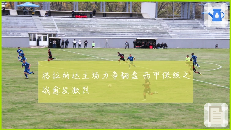 格拉纳达主场力争翻盘 西甲保级之战愈发激烈